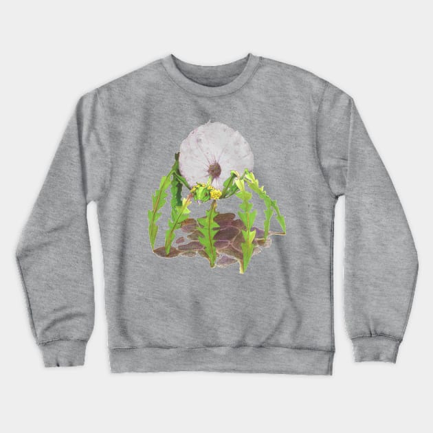 Dandelion Mage Spider - Magus Taraxacum Officinale Crewneck Sweatshirt by FishWithATopHat